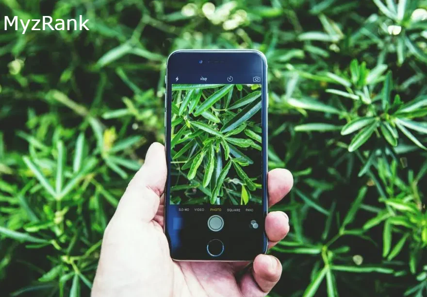 Best Plant Identification Apps In 2024 MyzRank   Best Plant Identification App 2024.webp